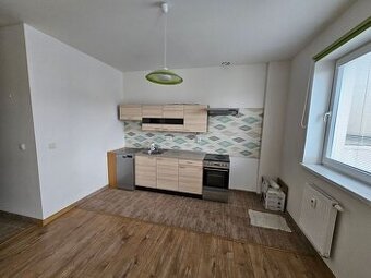 Nezariadený 1-izbový byt po kompletnej rekonštrukcii.