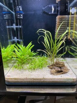 Zabehnuté Dennerle Nano Cube 30 L