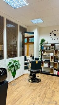 Salon priestor kaderníctvo