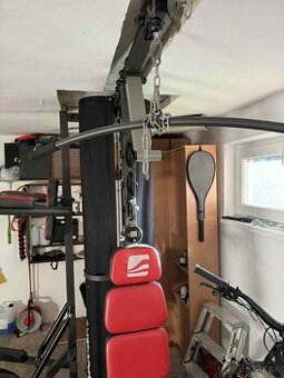 Posilňovacia veža inSPORTline Phanton