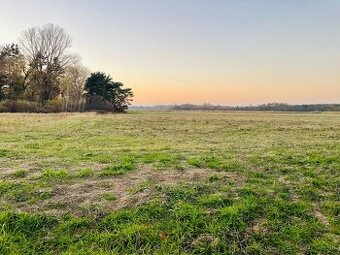 Veľký Pozemok 45 172 m² pri Malých Levároch