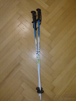 Lyžiarske paličky 80cm