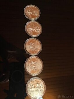 investicne strierbro 1 ou