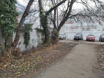 predám /darujem/ kmene stromov