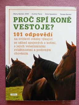 Proč spí koně vestoje?