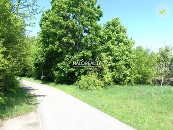 HALO reality - Predaj, pozemok 5834 m2 Trnava, zaujímavý i