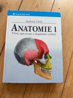 ANATOMIE 1 - Čihák
