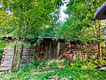 Guľatina - 1