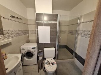 1 izbovy zariadeny byt na prenajom - 1