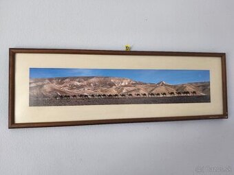 Obraz - Karavána tiav