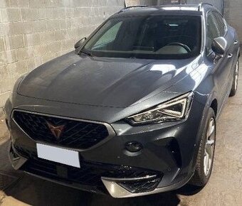 Cupra Formentor 1.5 TSI 110kw Dsg 99680km