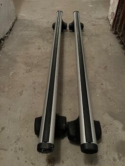 Thule nosice
