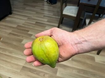 Predám figy - 1
