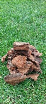 piniova kora, borovicova kora