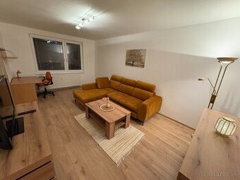 Centrum: veľký 2 izbový byt + balkon + špajza