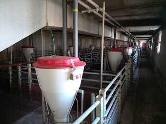 Predám technológiu a materiál z byvalého areálu - 1