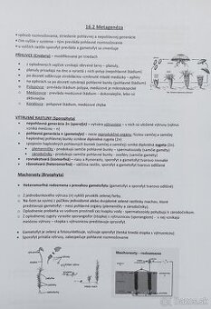 Maturitné otázky Biológia