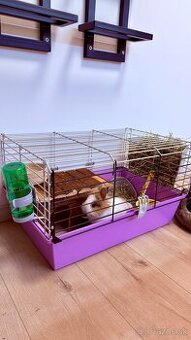 Klietka pre zajaca / králika / morča
