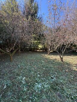 Na predaj záhrada s možnoťou výstavby