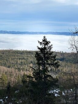 Lesne pozemky Margecany