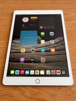 Apple iPad 7