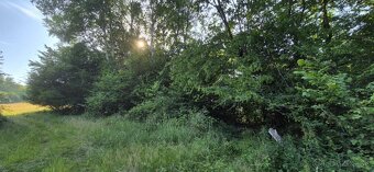 Predaj pozemku 5157 m² – Komárov, okres Bardejov