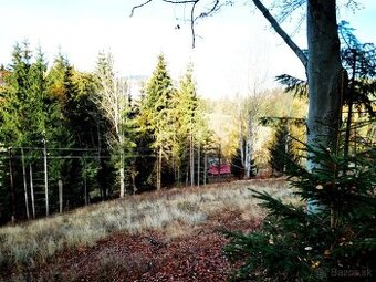 STAVEBNÝ POZEMOK 3100m2 v Chatovej OBLASTI CHLIPNACKY