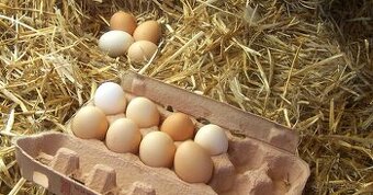 Kúpim nasadove vajcia