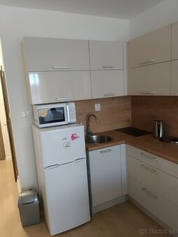 Prenájom garsónky pre 1 osobu, voľna 1.3.2026