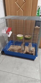 Darujem Potkanikov aj s Klietkou