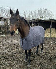 Odpocovacia deka pre koňa