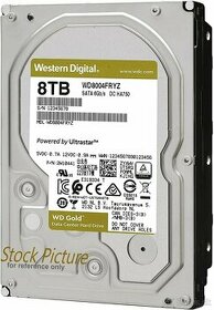 WD GOLD 8 TB WD8004FRYZ