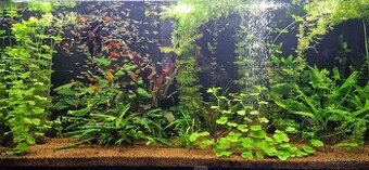 Akvárium Diversa 450l