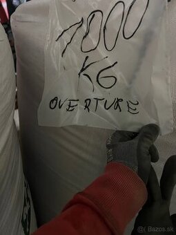 Osivo pšenice a jačmeňa