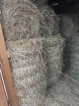 Predám balíkovane seno