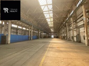 Priestor pre výrobu alebo sklad na prenájom, Trnava, ul. Skl