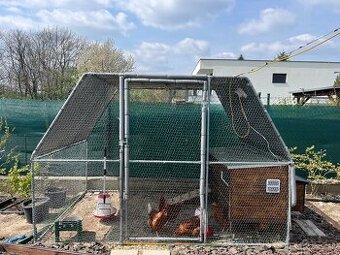 predam sliepky brown nick