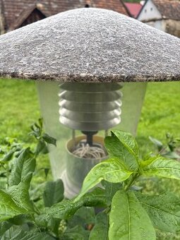 Sodikova Lampa