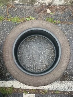 Dunlop winter sport 225/55/17 1ks