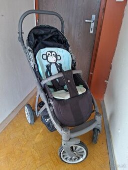 Expander Vivo