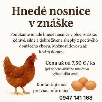 Predám mladé nosnice v znáške-dovoz zdarma