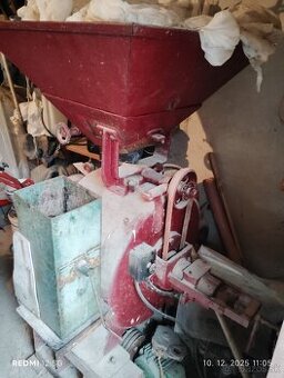 Srotovnik kameňový - 1