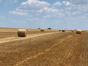 Slama pre ŽV, záhradu a na ďalšie iné využitie