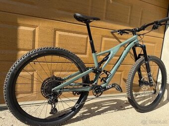 Specialized stumpjumper