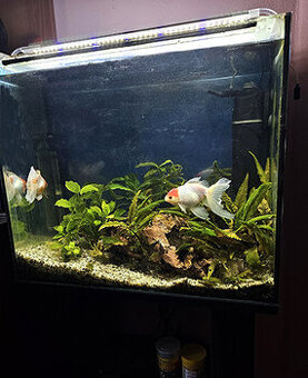 Predám 90 l akvarium
