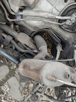 DPF