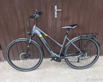 EBIKE Pegasus Evo