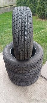195/65 r15 zimné pneumatiky