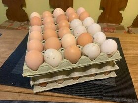 Vajíčka z domáceho chovu - 1