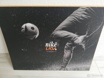 Nike Liga